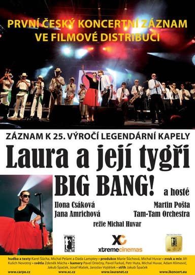 Laura a její tygři – Big Bang! poster