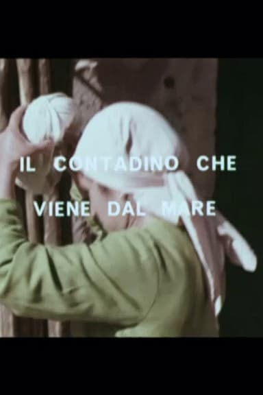 Il contadino che viene dal mare poster