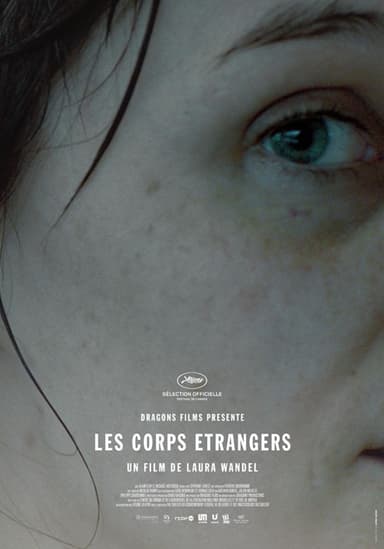 Foreign Bodies poster