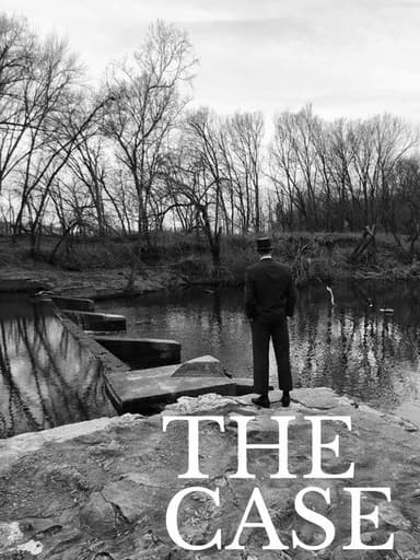 The Case poster