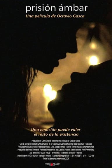 Prisión ámbar poster