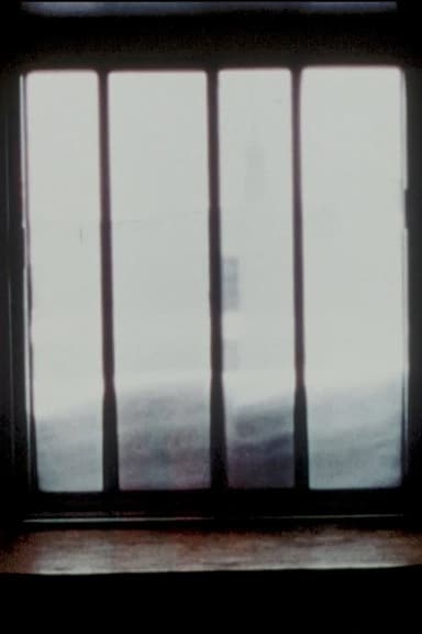Fenêtres poster