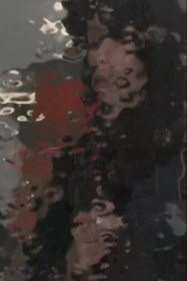 Akira Tsuboi Documents poster