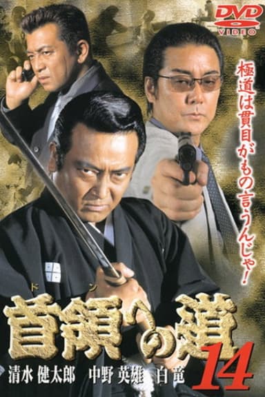 Road to the Don 14 poster