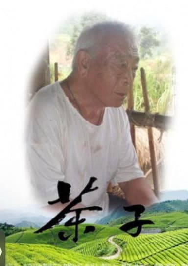 茶子 poster