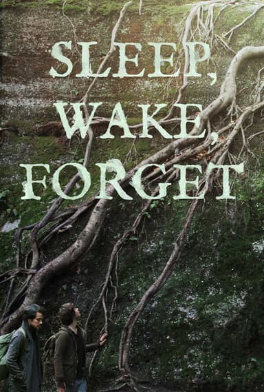 Sleep, Wake, Forget poster