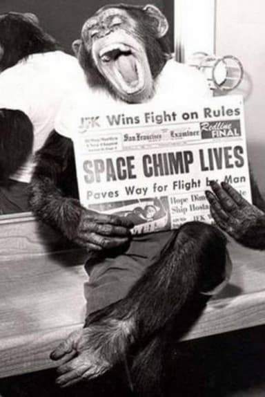 Spacechimp poster