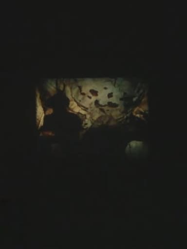 Sans titre (Lascaux) poster