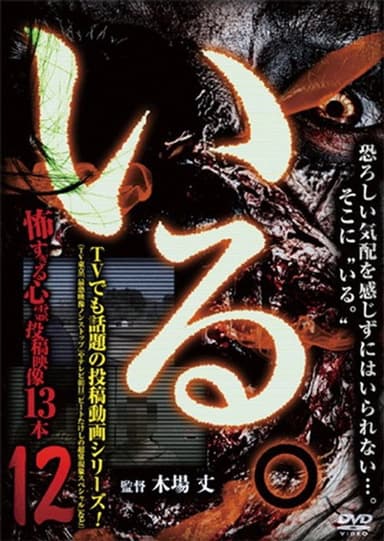 「Iru.」~ Kowasugiru Tōkō Eizō 13-hon ~ Vol.12 poster