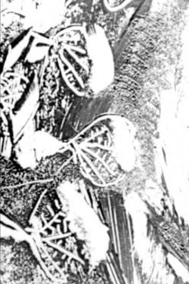 Atlantyda poster