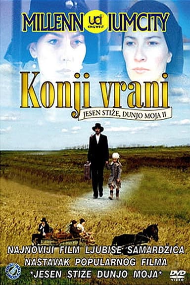 Black Horses poster
