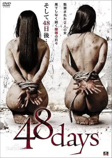 48 Days poster