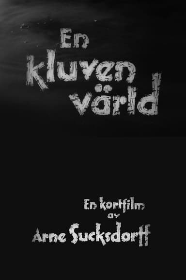 A Divided World poster