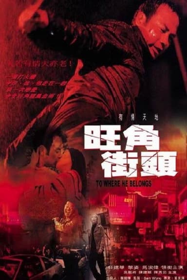 To Where He Belongs poster