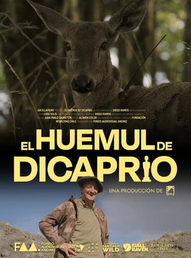 El Huemul de DiCaprio poster