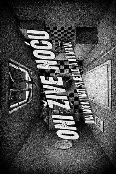 They Live by Night poster