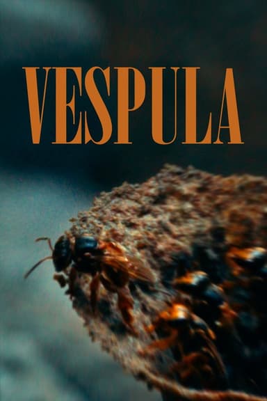 Vespula poster