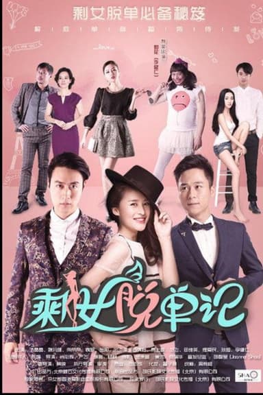 剩女脱单记 poster