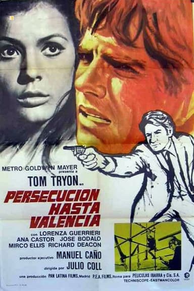 The Narco Men poster