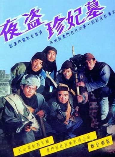 The Night Robbery poster