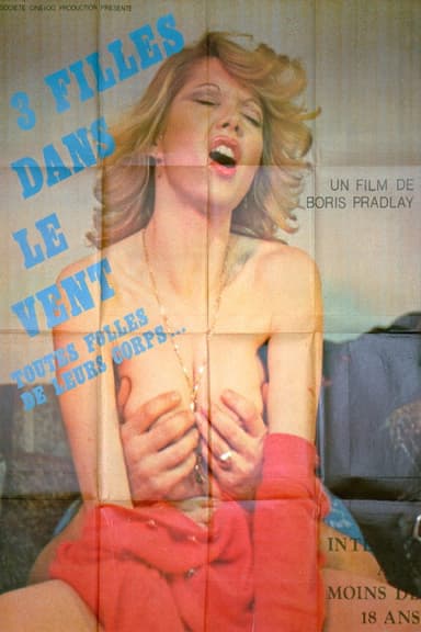 Trois filles dans le vent poster