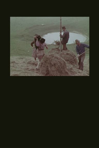 La montagna del sole poster