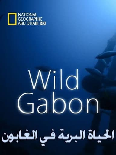 Wild Gabon poster