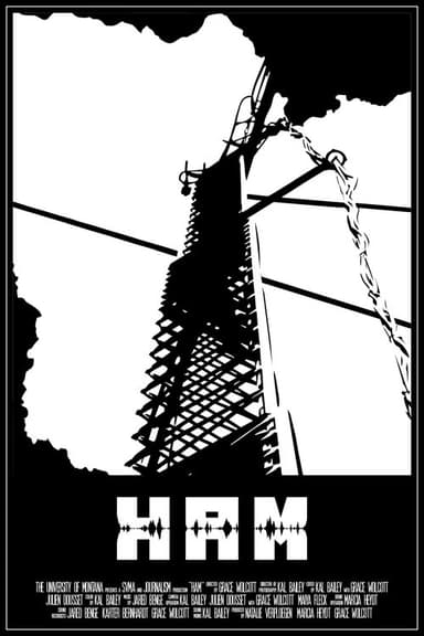 Ham poster
