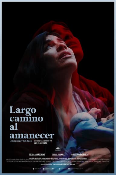 Long Journey Till Dawn poster