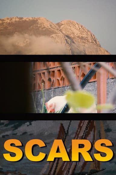 Scars poster