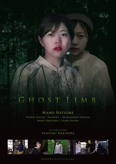 Ghost Limb poster