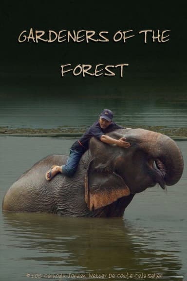 Gardeners of the Forest poster