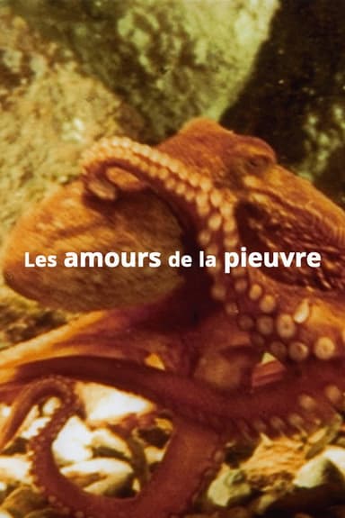 The Love Life of an Octopus poster