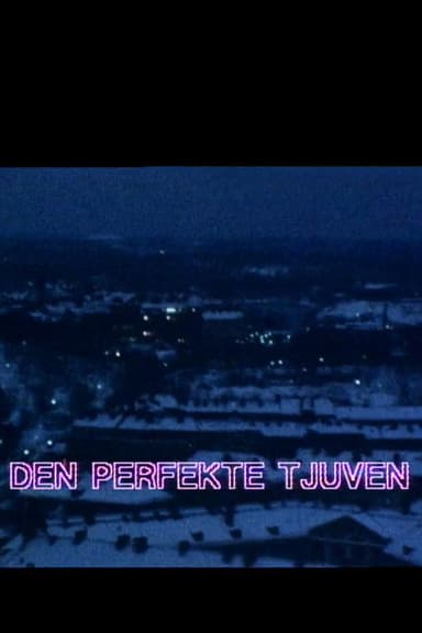 Den perfekte tjuven poster