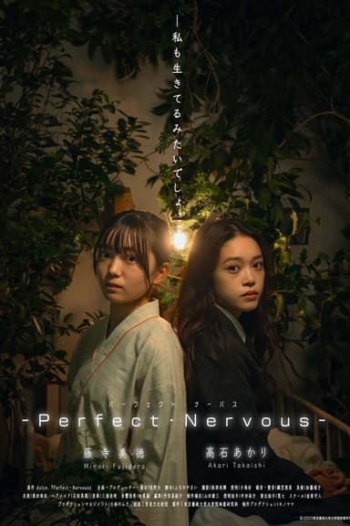 Perfect Nervous poster