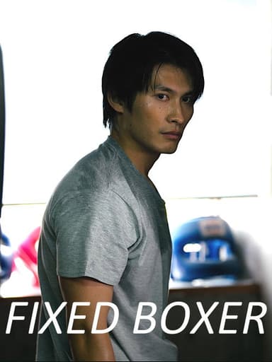 Fixed Boxer poster