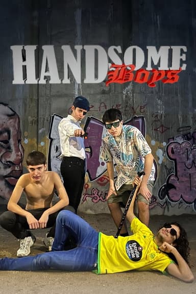 Handsome Boys poster