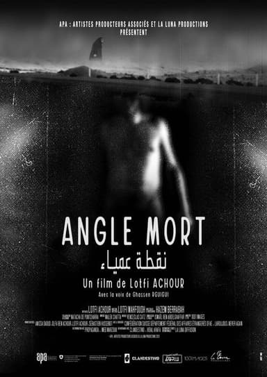 Blind Spot poster