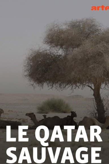 Wildes Katar poster