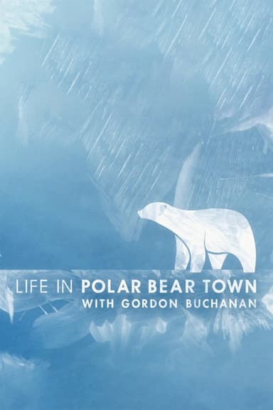 Life in Polar Bear Town with Gordon Buchanan poster