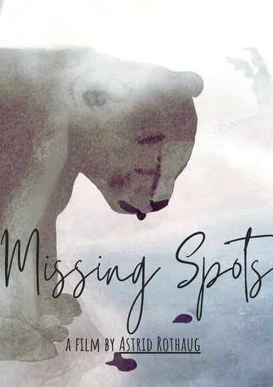 The Missing Spots poster
