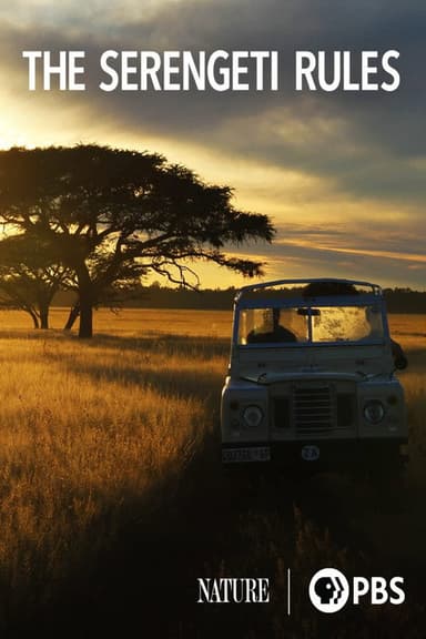 The Serengeti Rules poster