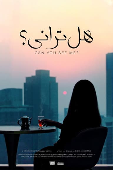 Can You See Me? poster