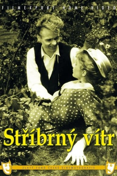 Silvery Wind poster