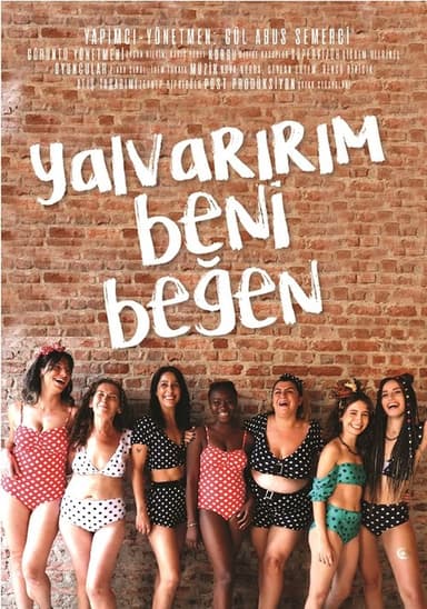 I Beg You to Like Me poster