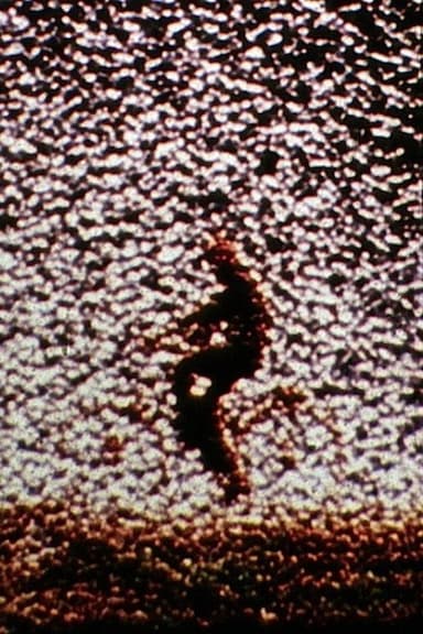 Remains to Be Seen poster
