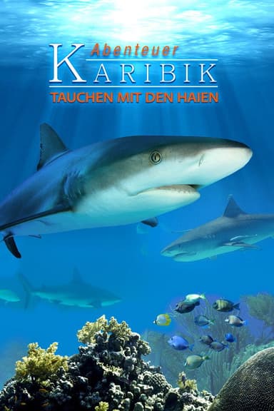 Adventure Caribbean 3D: Diving With Sharks poster
