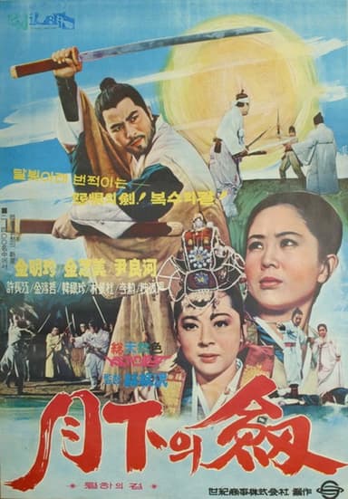 A Sword Under the Moon poster