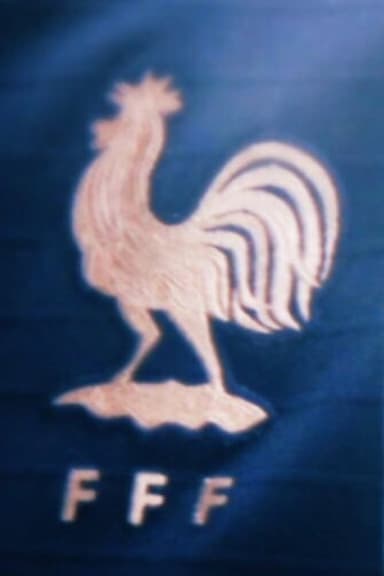 Bleues poster