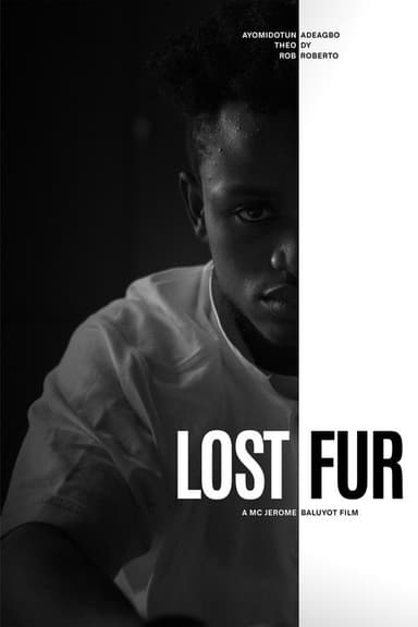 Lost Fur poster